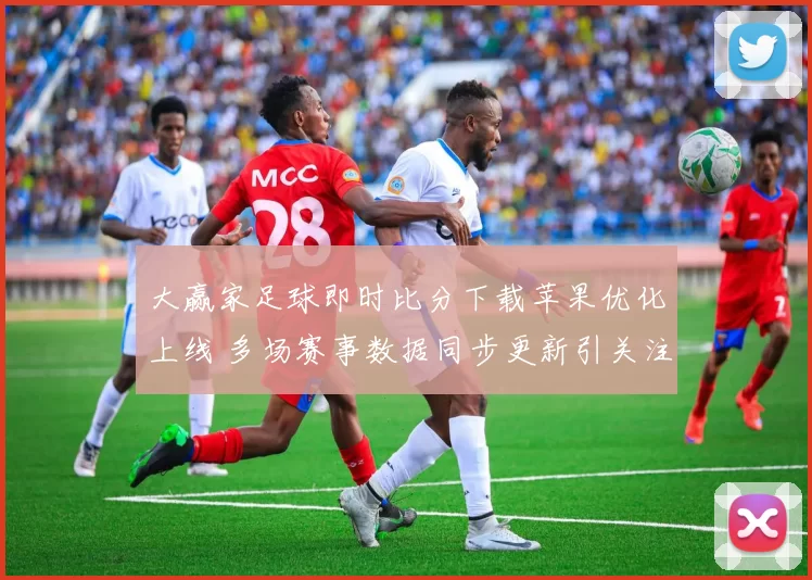 大赢家足球即时比分下载苹果优化上线 多场赛事数据同步更新引关注