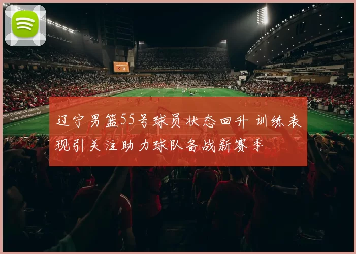 辽宁男篮55号球员状态回升 训练表现引关注助力球队备战新赛季