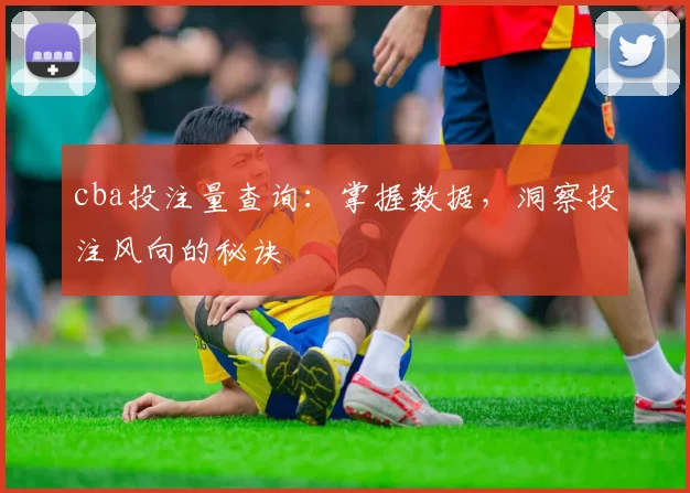 cba投注量查询：掌握数据，洞察投注风向的秘诀