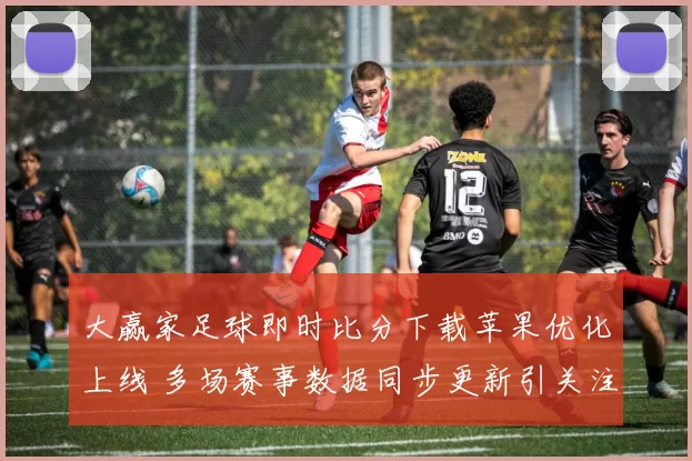 大赢家足球即时比分下载苹果优化上线 多场赛事数据同步更新引关注