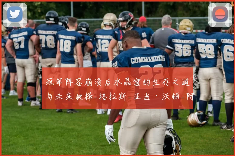 冠军阵容崩溃后水晶宫的生存之道与未来抉择_格拉斯_亚当·沃顿_阿森纳