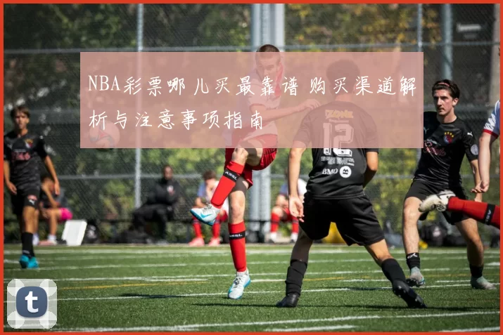 NBA彩票哪儿买最靠谱 购买渠道解析与注意事项指南